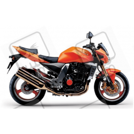 AUTOCOLLANT KAWASAKI Z1000 YEAR 2004 ORANGE