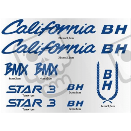 ASESIVI BH CLASSIC CALIFORNIA