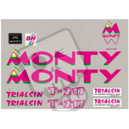 ASESIVI BH CLASSIC MONTY T217