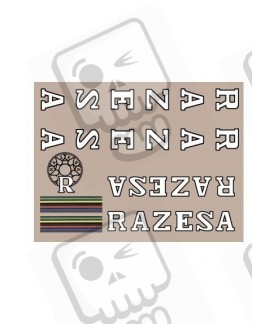 ADHESIVOS RAZESA 70-80