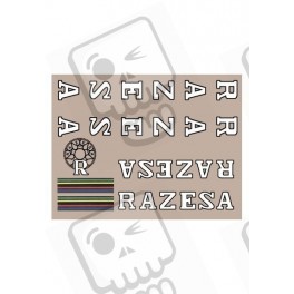 ADHESIVOS RAZESA 70-80