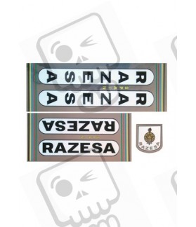 ADHESIVOS RAZESA 70