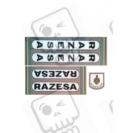 ADHESIVOS RAZESA 70