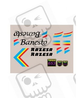 ADHESIVOS RAZESA BANESTO