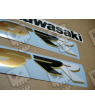 STICKER SET KAWASAKI ZX-6RR YEAR 2003 GREEN