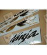 STICKER SET KAWASAKI ZX-6RR YEAR 2003 GREEN