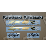STICKER SET KAWASAKI ZX-6RR YEAR 2003 GREEN