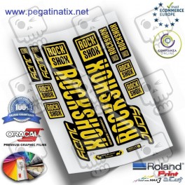 STICKERS ROCKSHOX DOMAIN 2019 WP272