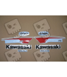 STICKER SET KAWASAKI ZX-6R AÑO 2012 RED