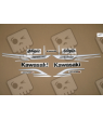 ADHESIVO KIT KAWASAKI ZX-6R AÑO 2013 WHITE