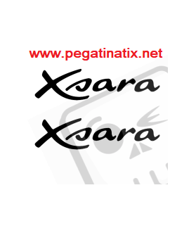ADESIVI LOGO CITROEN XSARA