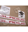 Adesivi Suzuki GLADIUS TITANIUM GREY 2012 SV650