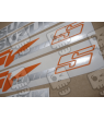 Stickers Suzuki SV 1000S ORANGE YEAR 2003