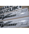 Adesivi Suzuki SV 1000S SILVER YEAR 2004