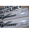 Stickers Suzuki SV 1000S SILVER YEAR 2004