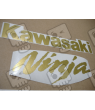 Stickers decals KAWASAKI ZX10RR