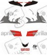 ADHESIVOS Aprilia RS50 YEAR 2007