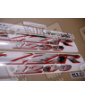 DECALS KIT KAWASAKI ZZR1200 YEAR 2002