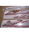 ADHESIVOS KIT KAWASAKI ZZR1200 YEAR 2002