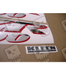 ADHESIVOS KIT KAWASAKI ZZR1200 YEAR 2002