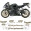 AUFKLEBER TRIUMPH DAYTONA 675 TRIPLE YEAR 2008 (Kompatibles Produkt)