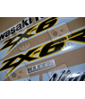ADESIVOS KAWASAKI ZX-6R YEAR 2002 YELLOW