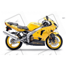 DECALS KAWASAKI ZX-6R YEAR 2002 YELLOW