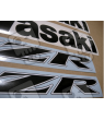 ADESIVI KAWASAKI ZZR-600 YEAR 2006 SILVER