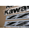 ADESIVI KAWASAKI ZZR-600 YEAR 2006 SILVER