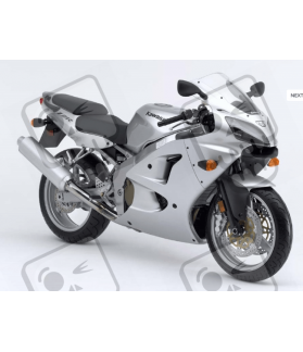 DECALS KAWASAKI ZZR-600 YEAR 2006 SILVER (Compatible Product)