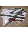 Decals SUZUKI HAYABUSA 1999