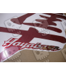 Adesivi SUZUKI HAYABUSA 1999 RED RED BLACK