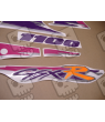 DECALS Suzuki GSX-R 1100 YEAR 1994 - VIOLET/PURPLE