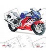 AUFKLEBER HONDA CBR 600F YEAR 1999-2000