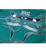 ADESIVOS HONDA CBR 1000RR YEAR 2008-2009