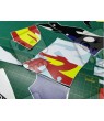 Honda CBR 900RR FIREBLADE YEAR 1996-1997 ADHESIVOS
