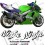 Kawasaki ZX-7R YEAR 1998 ADESIVI (Prodotto compatibile)