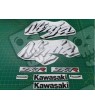 Kawasaki ZX-7R YEAR 1998 AUTOCOLLANT