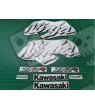 Kawasaki ZX-7R YEAR 1998 STICKERS