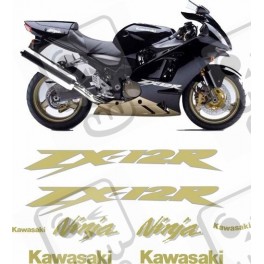 Kawasaki ZX-12R YEAR 2004 ADESIVOS