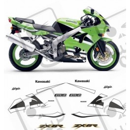 Kawasaki ZX-6R 636 YEAR 2000-2002 DECALS