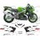 Kawasaki ZX-6R NINJA YEAR 1999 ADESIVI (Prodotto compatibile)