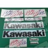 Kawasaki ZX-7R NINJA YEAR 1997 ADESIVOS