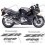 Kawasaki ZZR 600 YEAR 1995 ADESIVI (Prodotto compatibile)