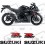 SUZUKI GSX-R 600 K6 YEAR 2007 ADESIVOS (Produto compatível)