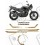 Yamaha FAZER YS250 Limited Edition 2008-2009 ADESIVI (Prodotto compatibile)