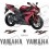 YAMAHA YZF R1 YEAR 2006 AUFKLEBER (Kompatibles Produkt)