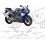 YAMAHA YZF R6 YEAR 2004 ADESIVOS (Produto compatível)
