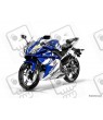 YAMAHA Yamaha YZF 125R Fiat Rossi Stickers