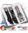 AUFKLEBER ROCKSHOX SID SELECT 2021 WP346